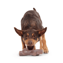 Load image into Gallery viewer, Bark Fall Fetch Stick

