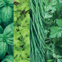 Load image into Gallery viewer, Herb Collection Pack
