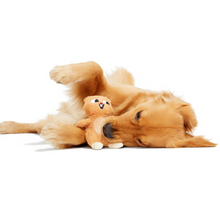 Load image into Gallery viewer, Bark Pearl Squirrel Dog Toy

