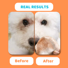Load image into Gallery viewer, Our Dogs Life Single-Use Pre-Soaked Aloe Vera Wipes
