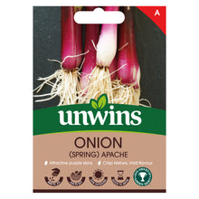Load image into Gallery viewer, Onion (Spring) Apache
