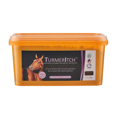 Golden Paste Company Turmeritch 1.5kg 