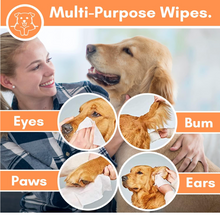 Load image into Gallery viewer, Our Dogs Life Unscented Grooming Wipes - 100 Wipes

