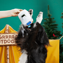 Load image into Gallery viewer, Bark Hairstream Trailer Dog Toy
