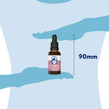 Load image into Gallery viewer, Pulsatilla 15C 15ml Liquid For Cats &amp; Dogs
