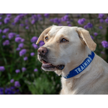 Load image into Gallery viewer, Twiggy Tags Awareness Collar
