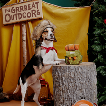 Load image into Gallery viewer, Bark Rowdy Ruckus Rucksack Dog Toy
