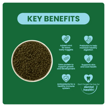 Load image into Gallery viewer, Burgess Excel Junior &amp; Dwarf Rabbit Nuggets With Mint 9kg
