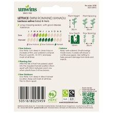 Load image into Gallery viewer, Unwins Cut-and-Come-Again Salad Seed Bundle
