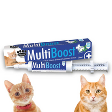 Load image into Gallery viewer, Mervue Multi Boost Multi-Vitamin &amp; Mineral Supplement For Cats &amp; Kittens Paste 30ml
