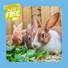 Load image into Gallery viewer, Burgess Excel Rabbit Food Nuggets For Junior &amp; Dwarf Breeds With Mint
