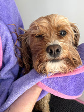 Load image into Gallery viewer, Dot Dot Pet Bamboo Dog Towel Small Purple 50cm x 50cm – Quick-Drying Towel with Hood &amp; Drying Pockets for Small Breeds
