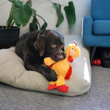 Load image into Gallery viewer, KONG Knots Chicken
