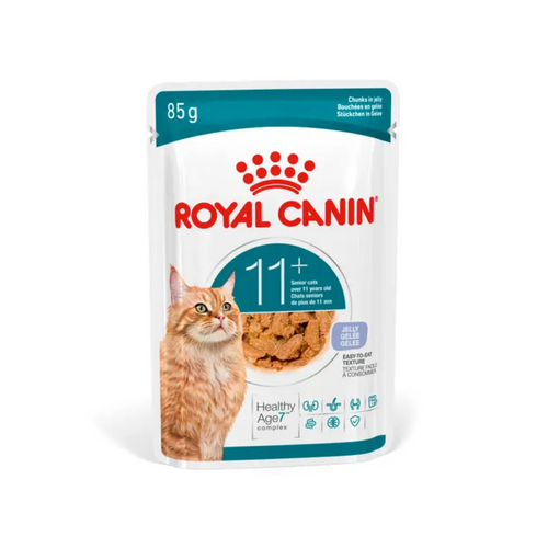 Royal Canin FHN Ageing 11+ Jelly Cat Food 12x85g