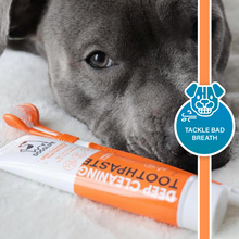 Load image into Gallery viewer, Our Dogs Life Deep Cleaning Toothpaste - Peppermint &amp; Aloe Vera
