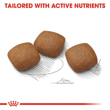 Load image into Gallery viewer, Royal Canin CCN Maxi Joint Care 10kg
