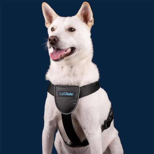 CarSafe Dog Travel Harness Black