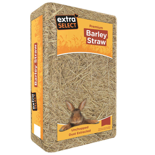 Extra Select Barley Straw Large 2kg