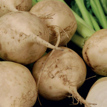 Load image into Gallery viewer, Beetroot Avalanche F1
