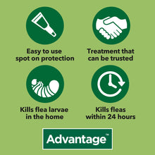 Load image into Gallery viewer, Advantage Spot On Flea Treatment For Cats, Dogs &amp; Rabbits - 4 Pipette Packs
