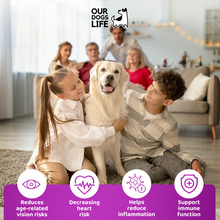 Load image into Gallery viewer, Our Dogs Life Senior Care Prescription Drops 200ml
