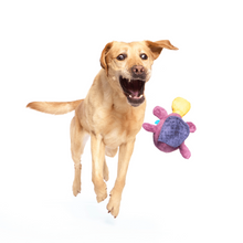 Load image into Gallery viewer, Bark Pippi Platypus Dog Toy

