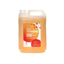Load image into Gallery viewer, ANIGENE Professional Disinfectant Cleaner 5L
