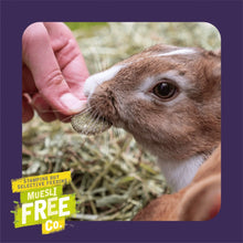 Load image into Gallery viewer, Burgess Excel Wildflower Forage Treat For Rabbits &amp; Guinea Pigs 75g
