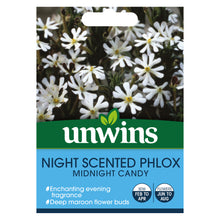 Load image into Gallery viewer, Night Phlox Midnight Candy
