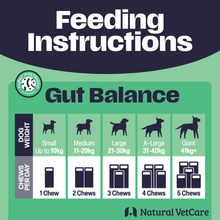 Load image into Gallery viewer, Natural VetCare Health &amp; Wellbeing Chews for Dogs – Age Well, Calm &amp; Settle, Daily Multivitamin, Gut Balance &amp; Mobility – Vet-Formulated Chews
