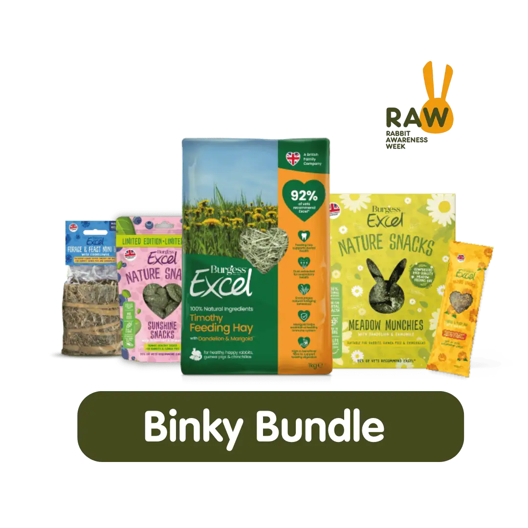 Burgess Binky Bundle