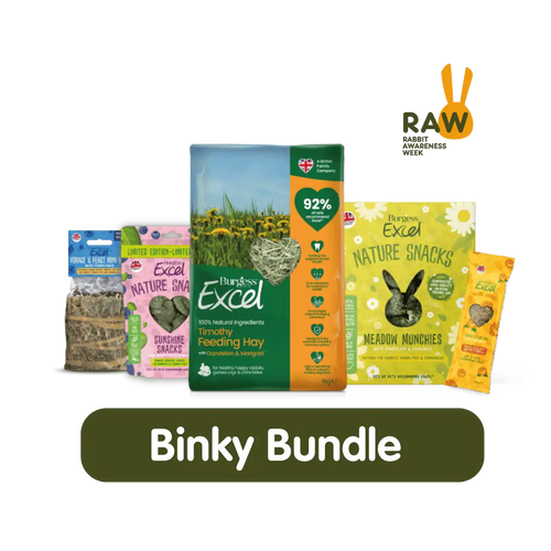Burgess Binky Bundle