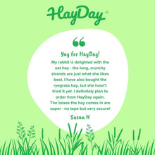 Load image into Gallery viewer, HayDay Outstanding Oat Hay
