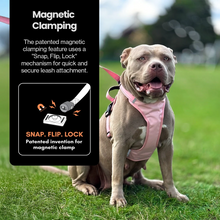 Load image into Gallery viewer, Our Dogs Life Magnetic Lock Lead &amp; Harness Set: Green
