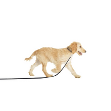 Load image into Gallery viewer, Company of Animals Recall Line Dog Training Lead Various Sizes
