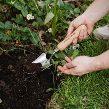 Load image into Gallery viewer, Kent &amp; Stowe Stainless Steel Hand Transplanting Trowel
