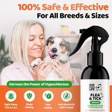 Load image into Gallery viewer, Our Dogs Life Hypochlorous Flea &amp; Tick Spray 250ml
