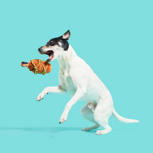 Load image into Gallery viewer, Bark Barkbeard'S Rum Dog Toy
