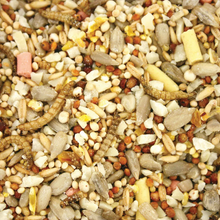 Load image into Gallery viewer, Copdock Mill Wild Bird Garden Feast 2.5kg

