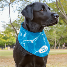 Load image into Gallery viewer, All For Paws Chill Out Ice Bandana Large
