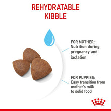 Load image into Gallery viewer, Royal Canin Medium Starter Mother &amp; Babydog Food 15kg
