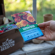 Load image into Gallery viewer, Marigold (French) Strawberry Blonde
