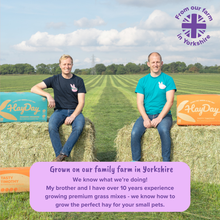 Load image into Gallery viewer, HayDay Coarse and Crunchy Alfalfa Hay
