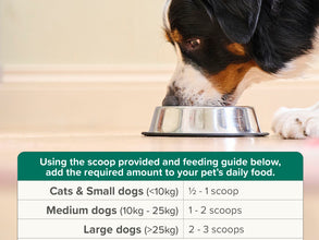 Load image into Gallery viewer, Beaphar Plaque Away Dental Powder for Cats &amp; Dogs 80g Tub
