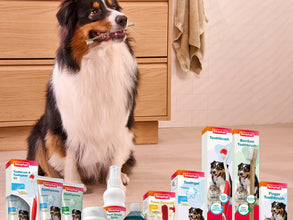 Load image into Gallery viewer, Beaphar Plaque Away Dental Powder for Cats &amp; Dogs 80g Tub
