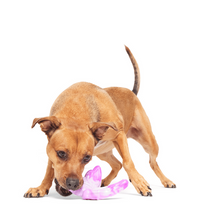 Load image into Gallery viewer, Bark Fairy Dogmother Dog Toy
