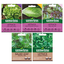 Load image into Gallery viewer, Unwins Cut-and-Come-Again Salad Seed Bundle

