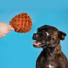 Load image into Gallery viewer, Bark Tavern Turkey Leg Dog Toy
