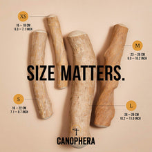 Load image into Gallery viewer, Canophera Dog Chew Stick Made Of Coffee Wood Large
