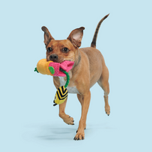 Load image into Gallery viewer, Bark Pollen Nate Dog Toy
